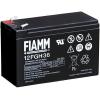 FIAMM Batteria al Piombo 12V 9Ah (Faston 6,3mm)