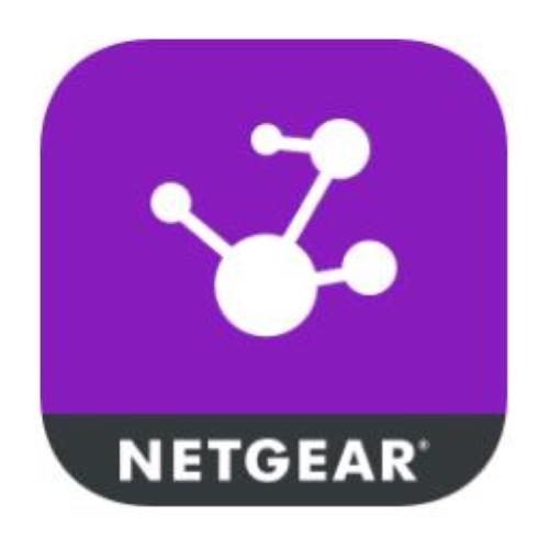 NETGEAR LICENZA INSIGHT PRO PER 10 DEVICE