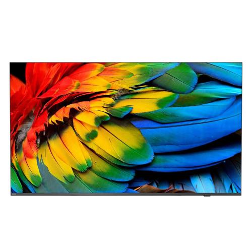 PHILIPS PROFESSIONAL DISPLAY 50HFL6214U/12 50 (cd/m2) 400 UHD DVB-T/T2/C HEVC vesa 200x300 M6 speacker Integrato (10W x 2) Storage 16 GB Chromecast inside (9.0) Google assistant Play store Analistics Netflix CMND contro & create IPTV Prison mode colore An