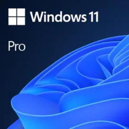 MICROSOFT WINDOWS 11 PRO ESD ALL LANG