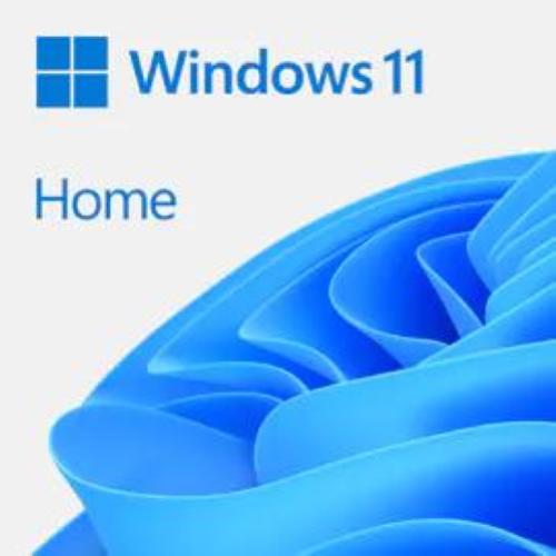 MICROSOFT WIN HOME FPP 11 64-BIT ITALIAN USB